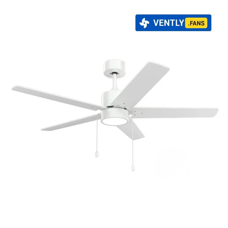 Product View