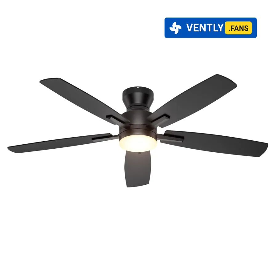 Product View