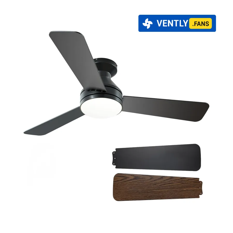 Product View