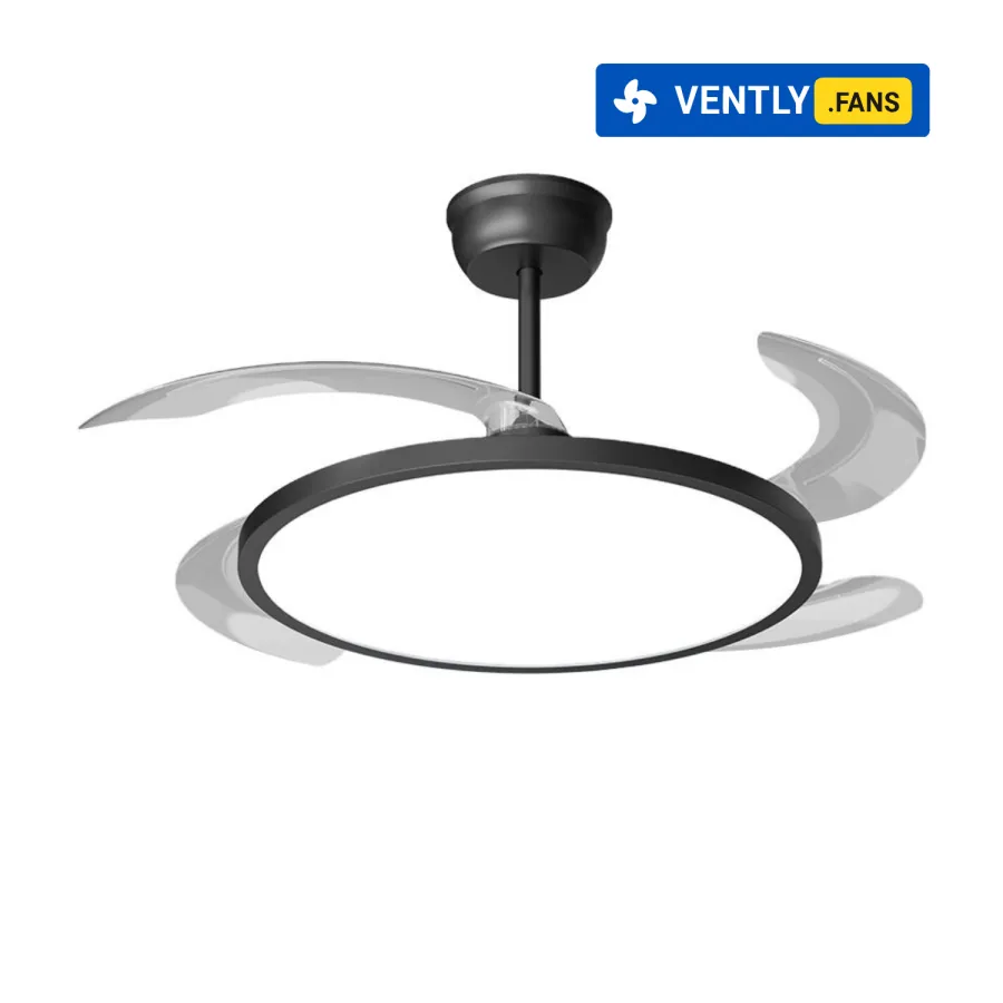 Product View