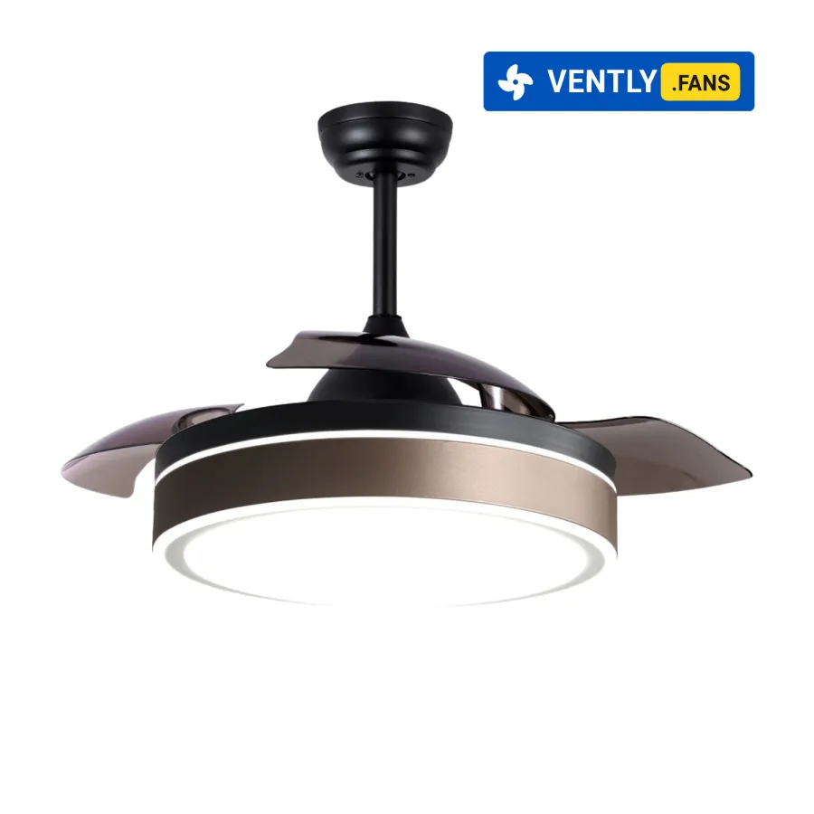 Product View